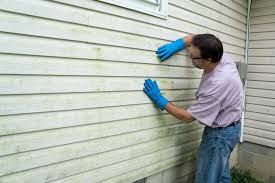 Best Siding Painting and Refinishing  in Cedar Hill, TX